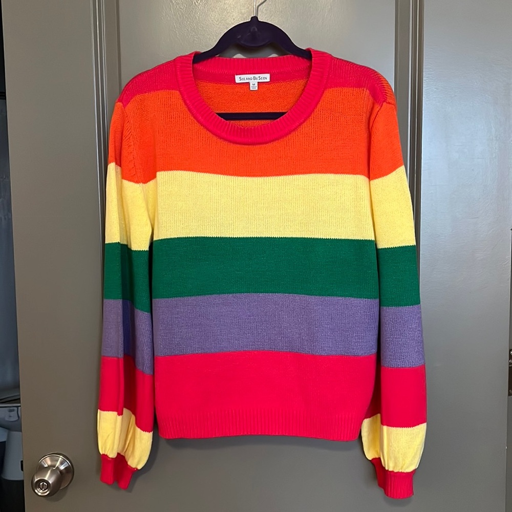See and Be Seen Multicolored Sweater